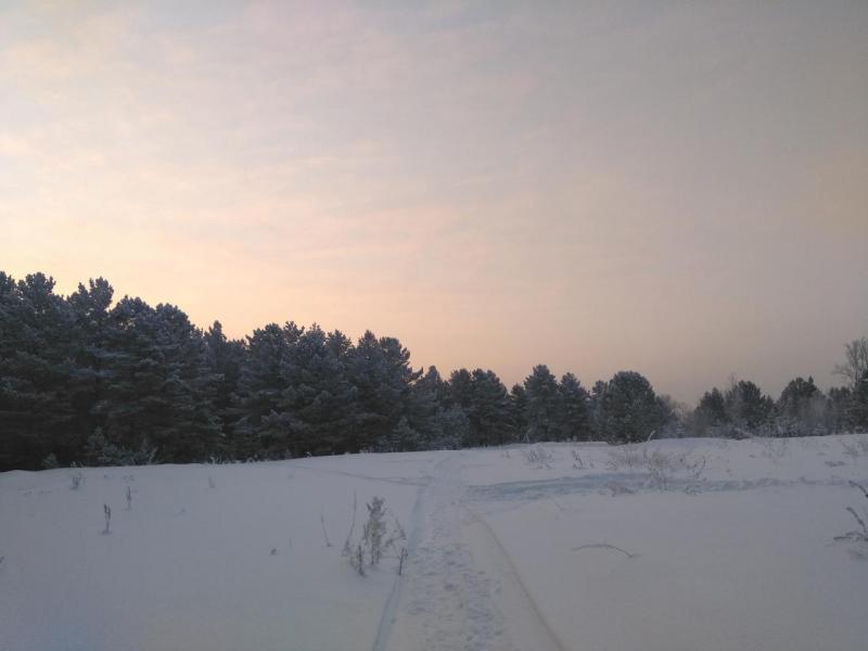 IMG_20200110_100158.jpg
