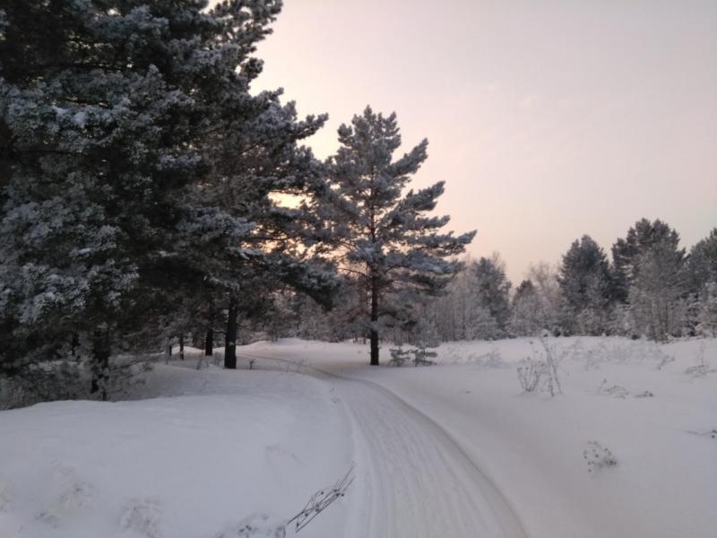 IMG_20200110_100343.jpg
