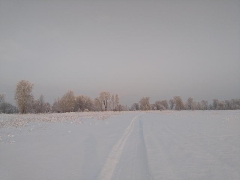 IMG_20200110_105004.jpg
