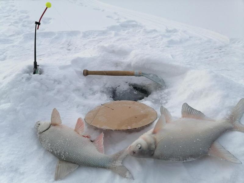 Прикрепленное изображение