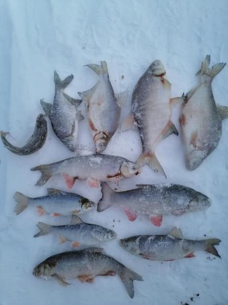 Прикрепленное изображение