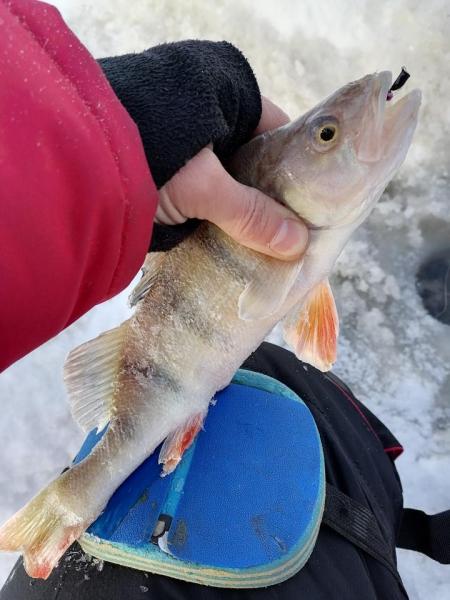 Прикрепленное изображение