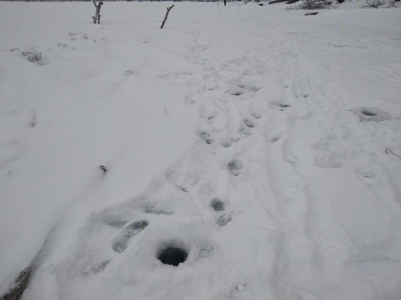 Прикрепленное изображение: IMG_20201214_094615.jpg
