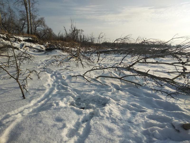 Прикрепленное изображение: IMG_20201212_115333.jpg