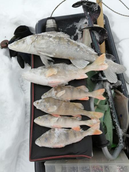 Прикрепленное изображение: IMG_20210117_150127.jpg