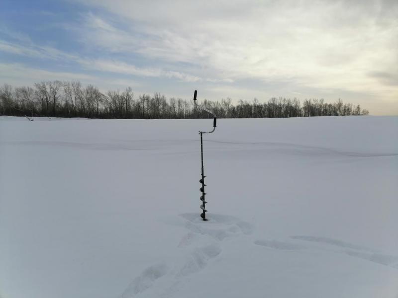 IMG_20210117_132602.jpg