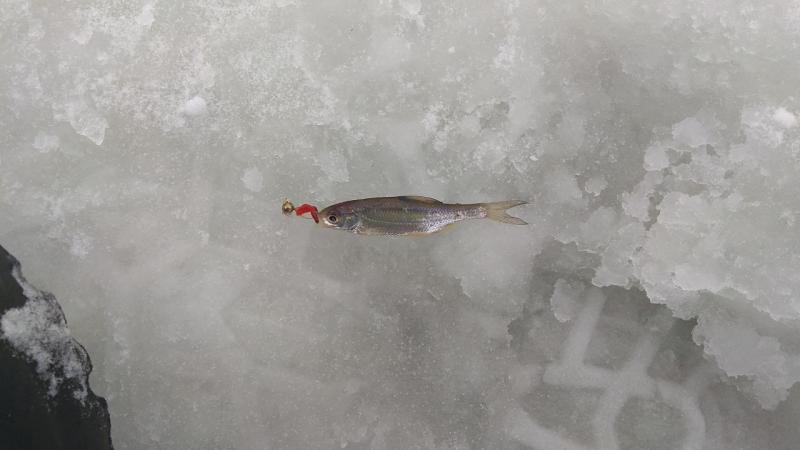 IMG_20210122_105854.jpg