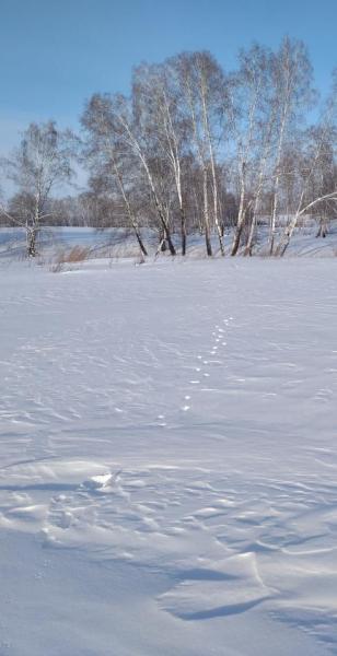 IMG_20210131_111901.jpg