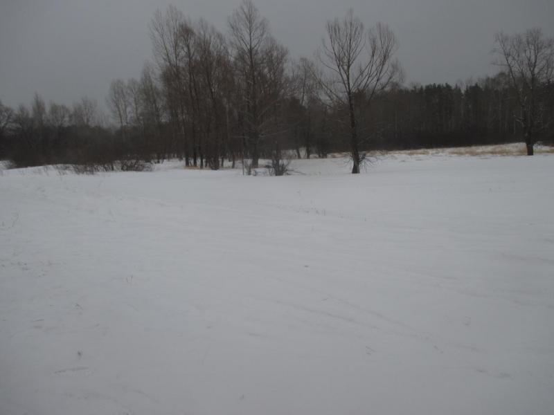 IMG_2529.JPG