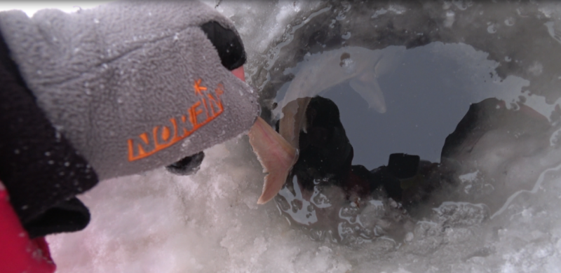 IMG_20210122_211956.png