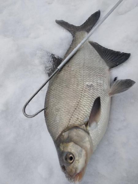 Прикрепленное изображение: IMG_20220119_101647.jpg