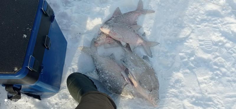 IMG_20220107_132246.jpg