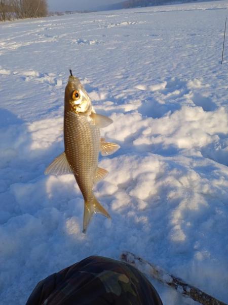IMG_20220122_162307.jpg