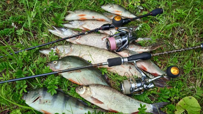 Рыбалка и Охота в Татарстане