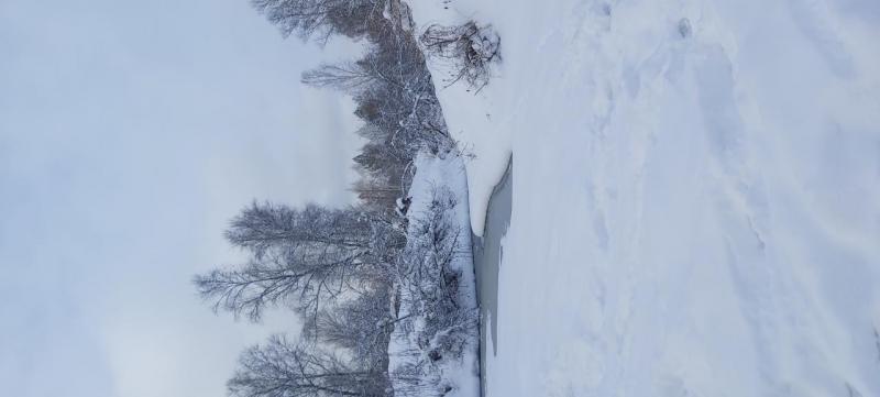 20240107_141056.jpg