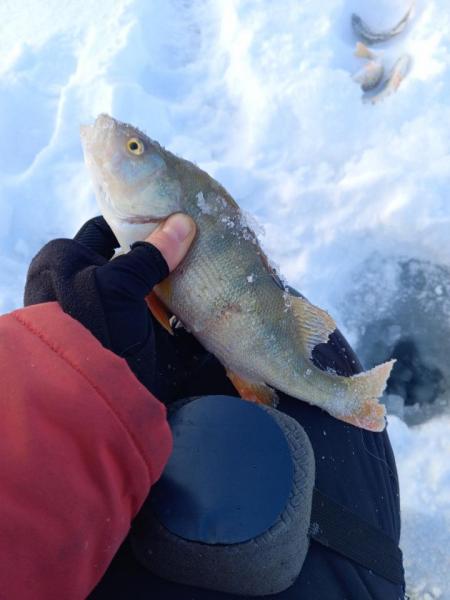 Прикрепленное изображение