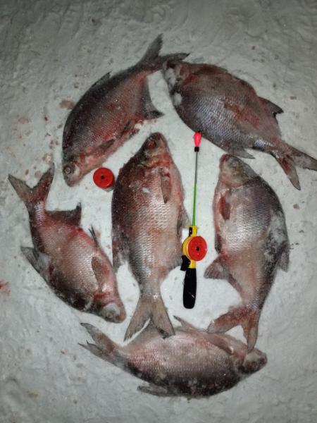 Прикрепленное изображение