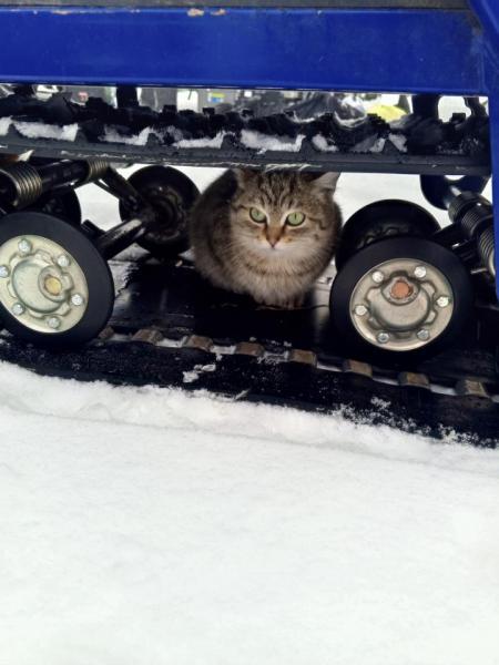 Прикрепленное изображение