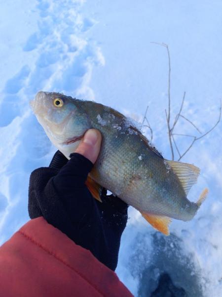 Прикрепленное изображение