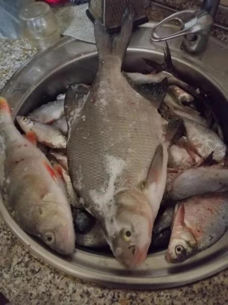 Прикрепленное изображение