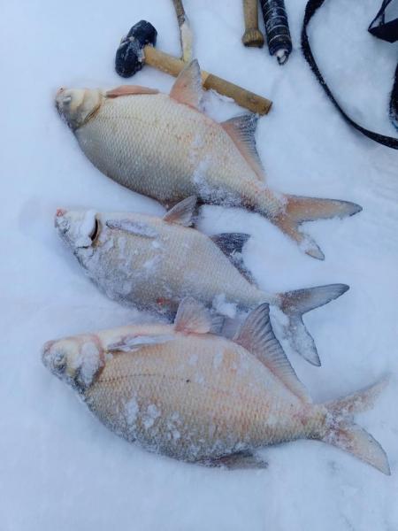 Прикрепленное изображение