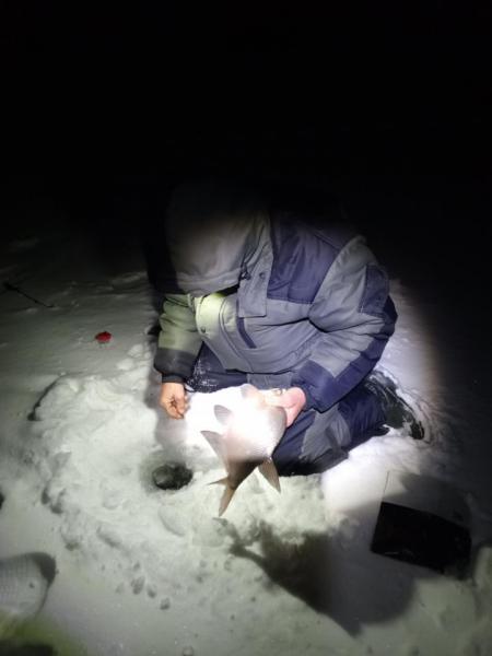 Прикрепленное изображение