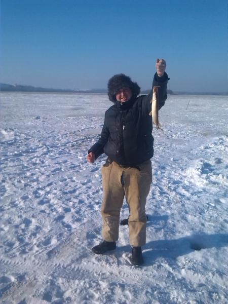 Прикрепленное изображение