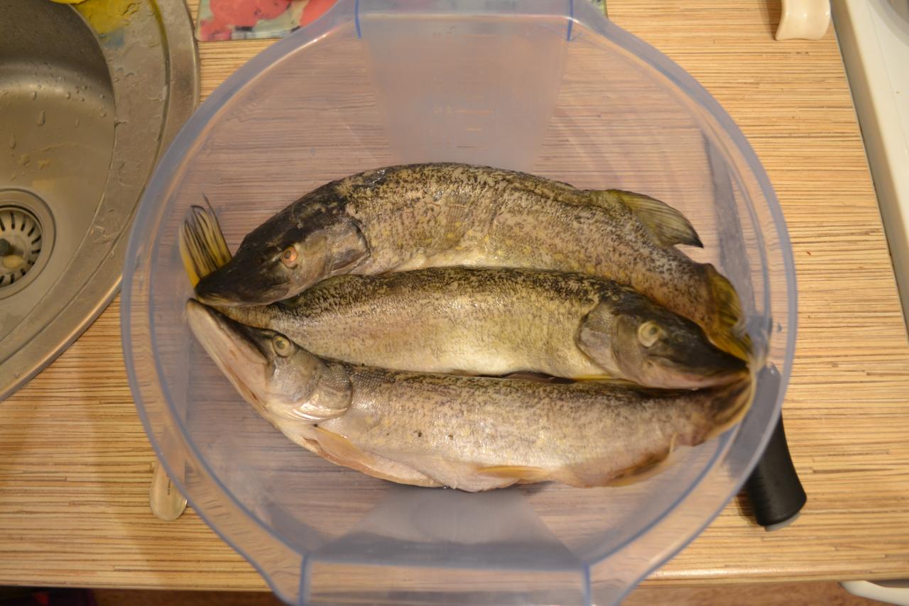 Щука на сковороде — рецепты приготовления жареной и тушеной рыбы