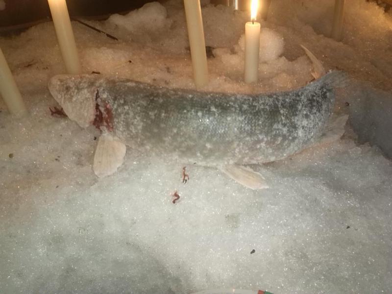 Прикрепленное изображение