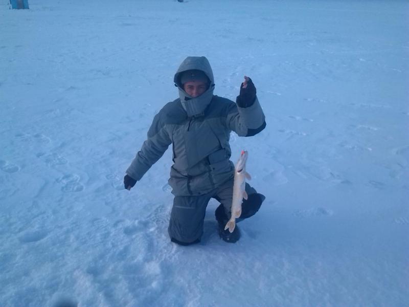 Прикрепленное изображение