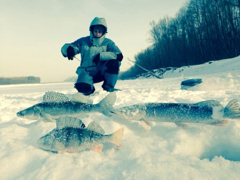 Прикрепленное изображение