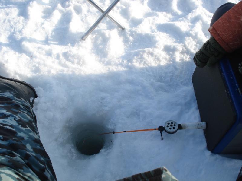 Прикрепленное изображение