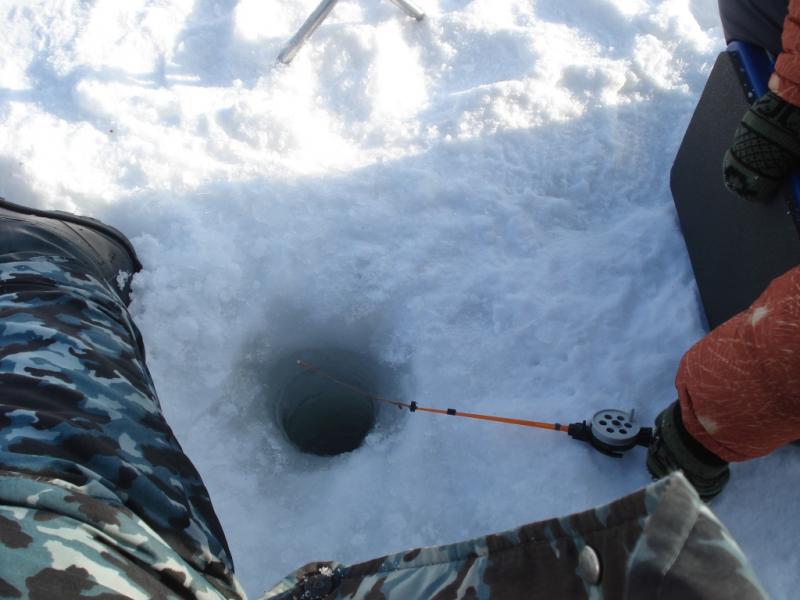 Прикрепленное изображение