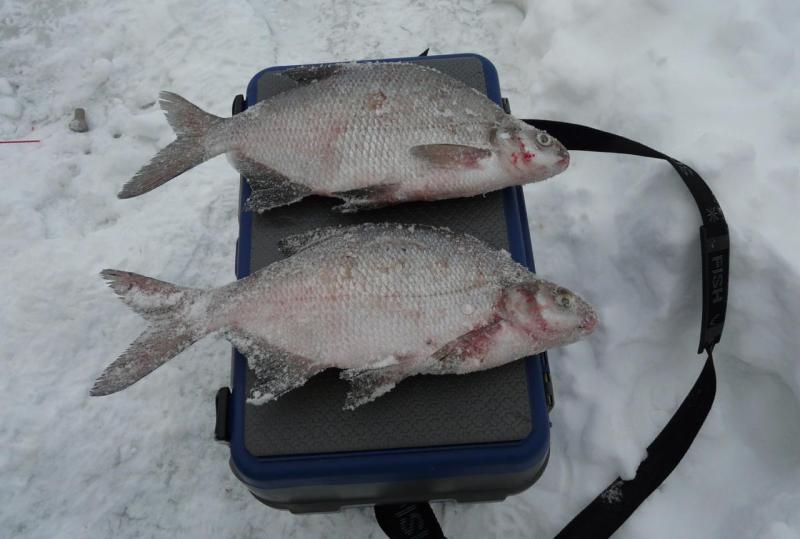 Прикрепленное изображение