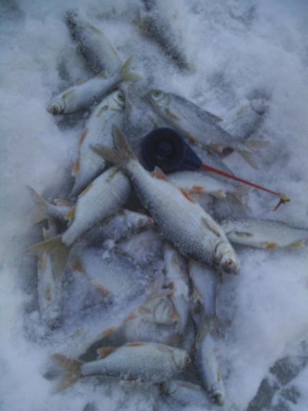 Прикрепленное изображение