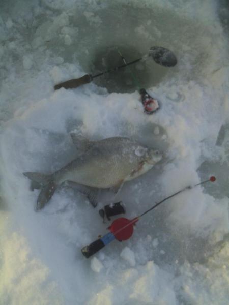 Прикрепленное изображение