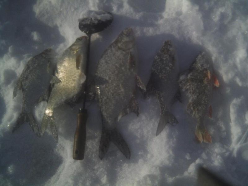 Прикрепленное изображение