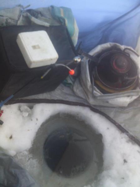 Прикрепленное изображение