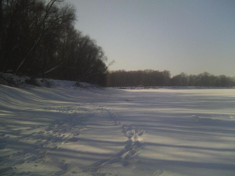 Прикрепленное изображение