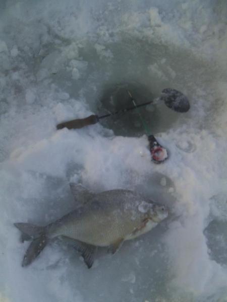 Прикрепленное изображение