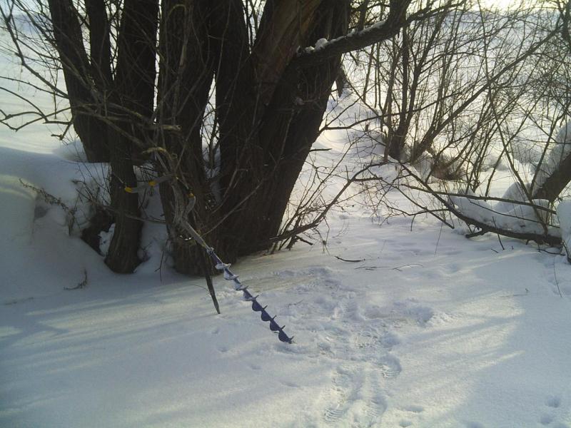 Прикрепленное изображение