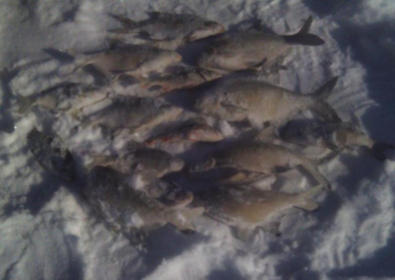 Прикрепленное изображение