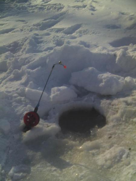 Прикрепленное изображение