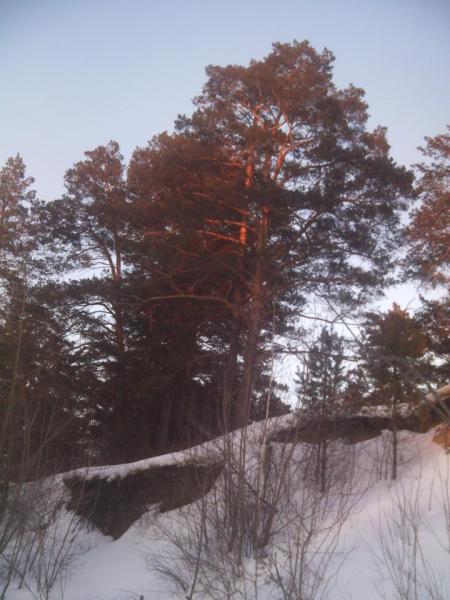 Прикрепленное изображение