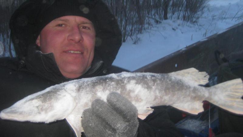 Прикрепленное изображение