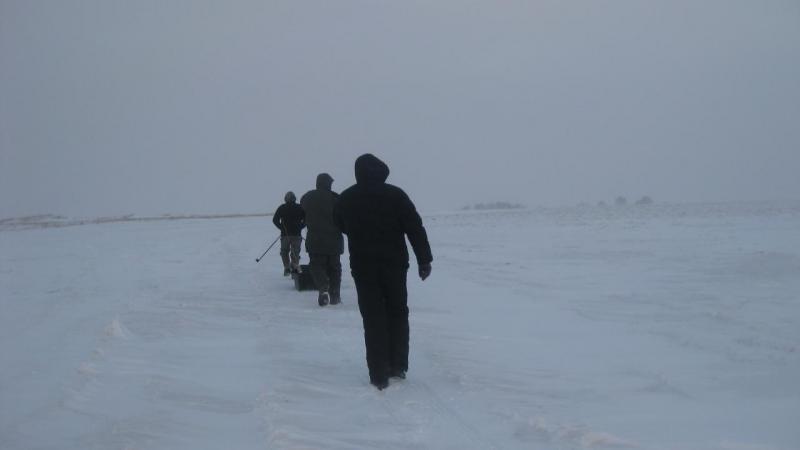 Прикрепленное изображение