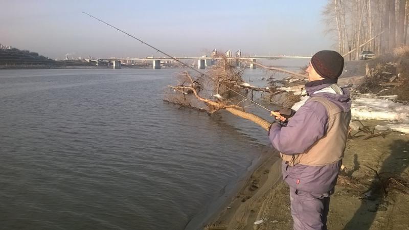 Прикрепленное изображение