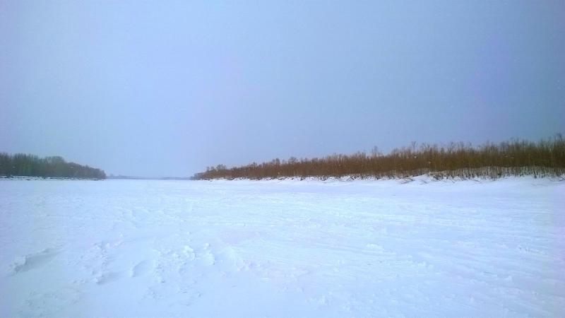 Прикрепленное изображение