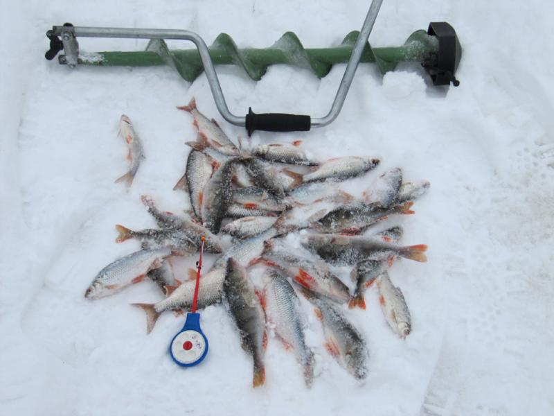 Прикрепленное изображение