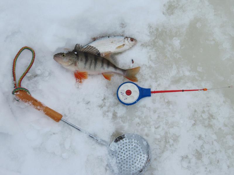 Прикрепленное изображение